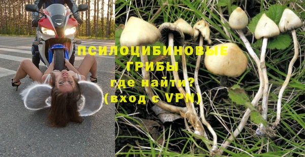 эйфоретик Алзамай