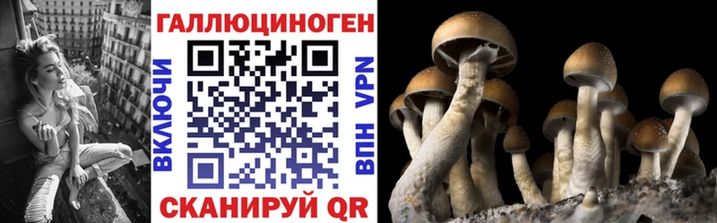 мега онион  Кулебаки  Галлюциногенные грибы мицелий 